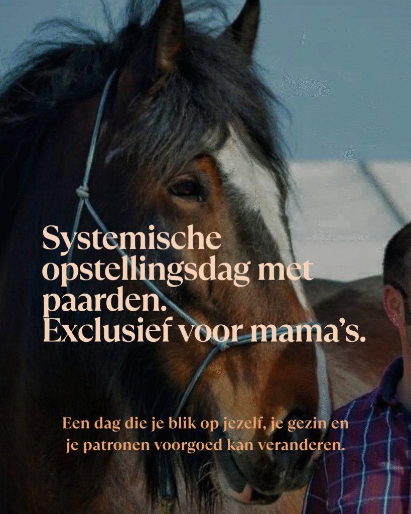 Systemische opstellingsdag met paarden, exclusief voor mama's