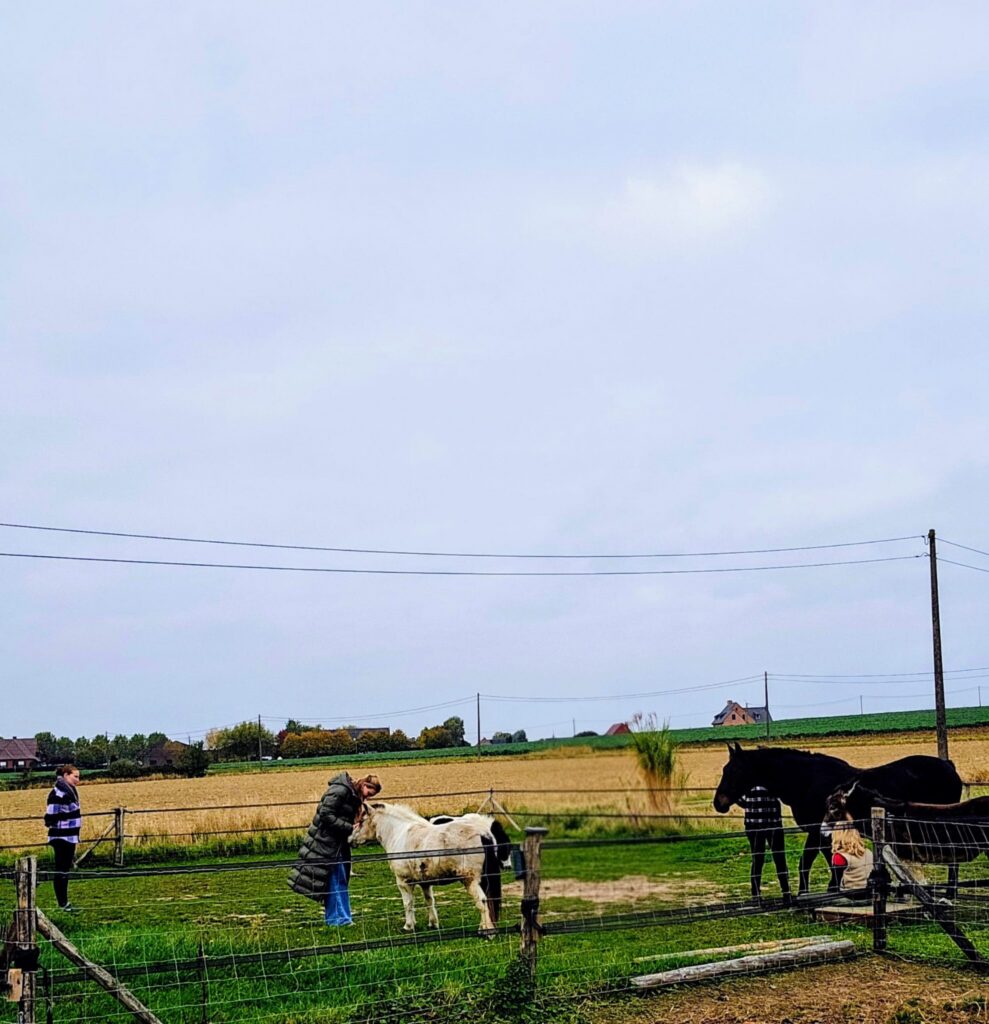 Systemische opstellingen voor mama's